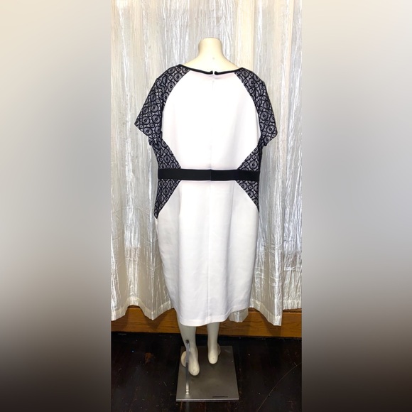 Ruiz & Ali Off White Dress With Black Lace Accents Size Woman’s 20 - Picture 2 of 4